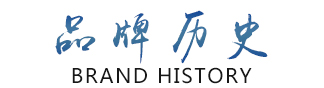 品牌历史