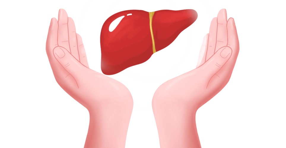 关于肝脏的这些东西，你应该知道！