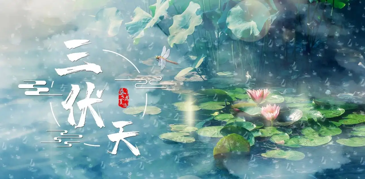 三伏天，这份食养“三字经”建议收藏