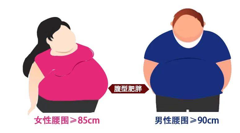 小心腹型肥胖！比全身肥胖危害更大