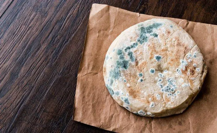 高温能杀死细菌，那变质的食物煮沸后是不是还能吃？