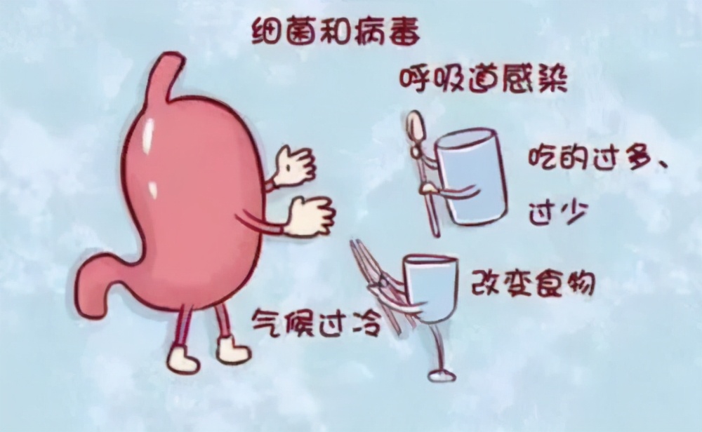 炎热夏季要注意预防胃肠炎