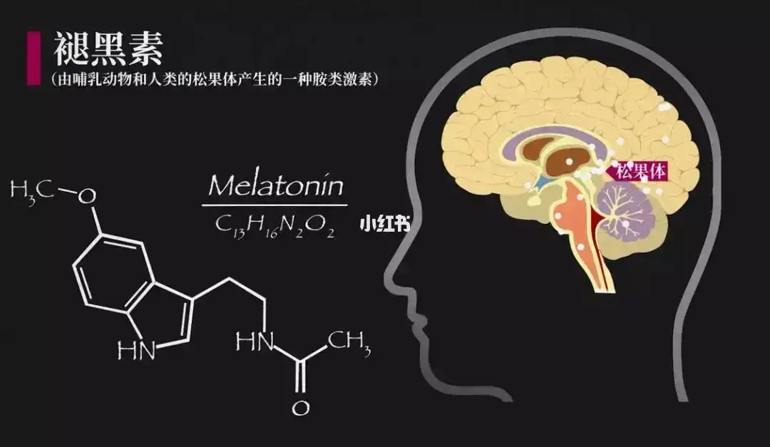 “睡眠帮手”褪黑素，究竟是何物？